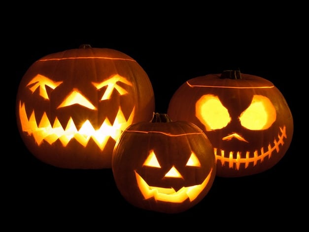 Accounts Payable Process Facts are scarier than these pumpkins!